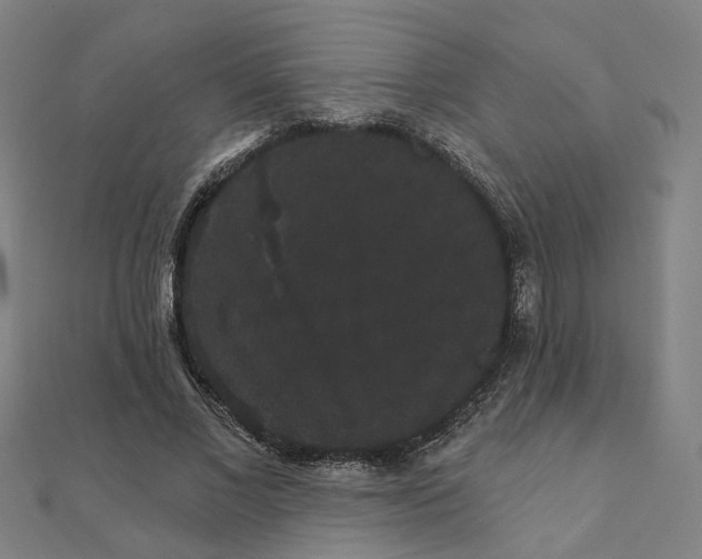 X0000111420685200908101056