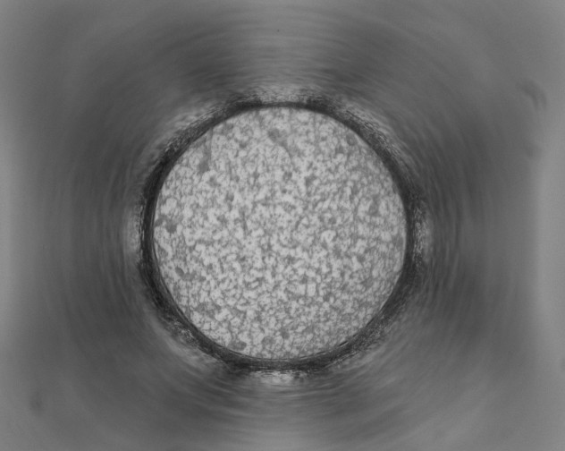 X0000111420687200908101056