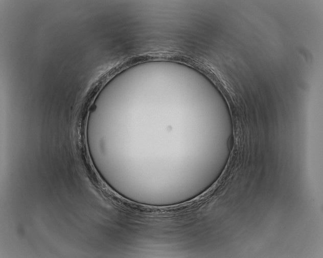 X0000111420688200908101056