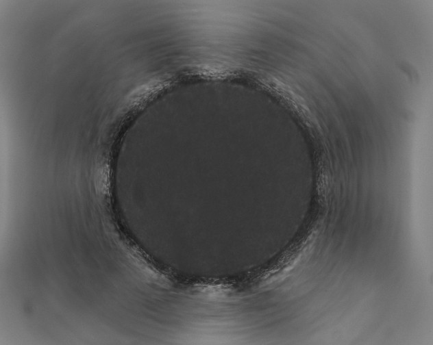 X0000111420689200908101056