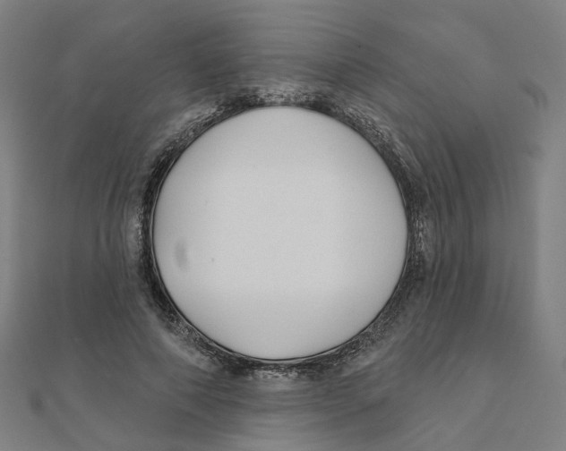 X0000111420690200908101056