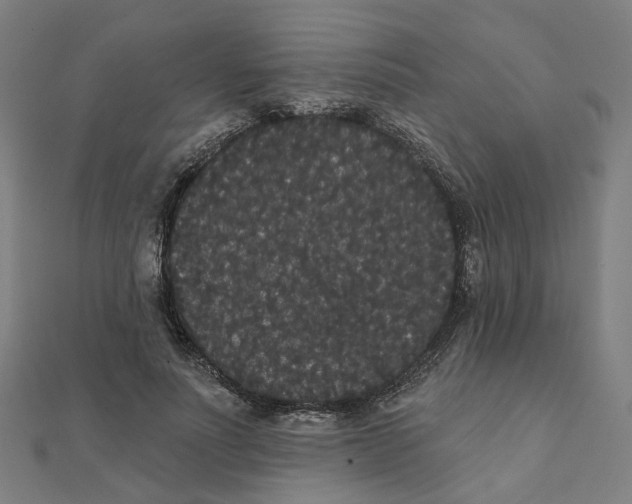 X0000111420691200908101056