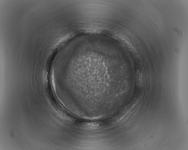 X0000111420692200908101056
