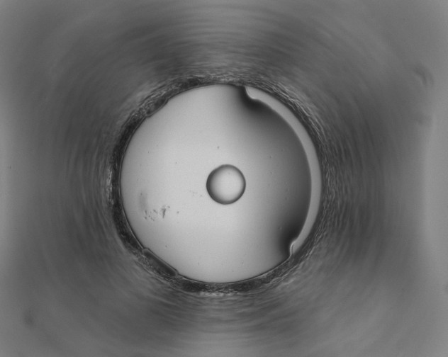 X0000111420693200908101056