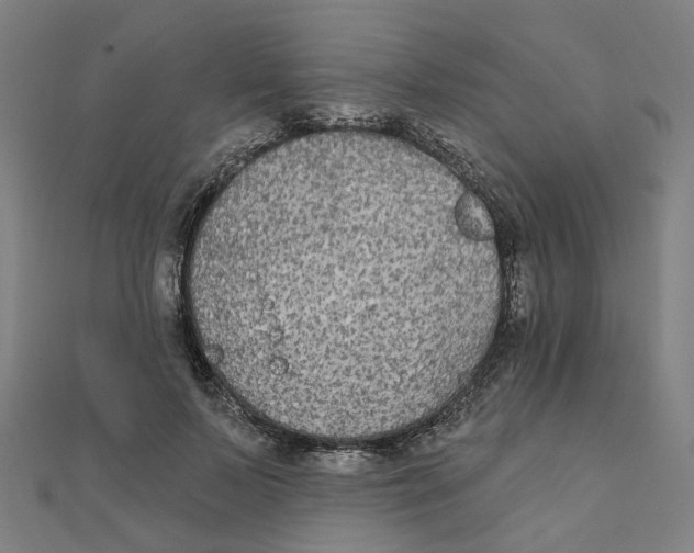 X0000111420695200908101056