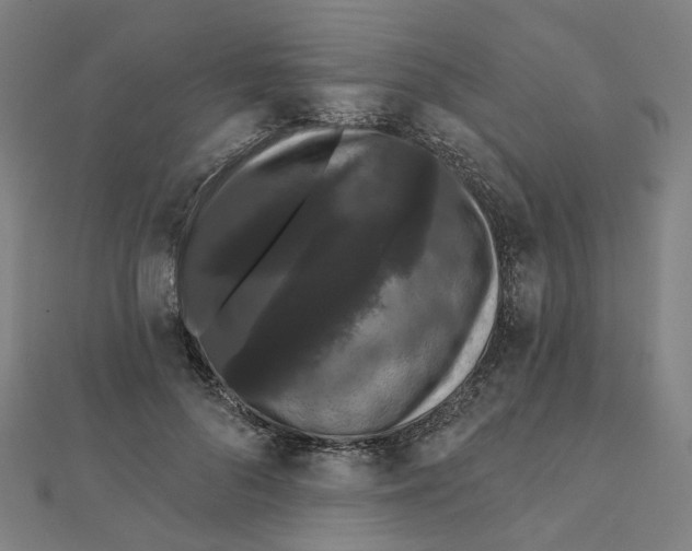 X0000111420696200908101056