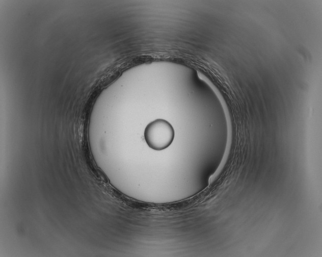 X0000111420697200908101056