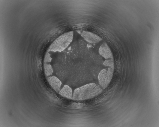 X0000111420699200908101056