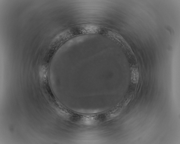 X0000111420701200908101056