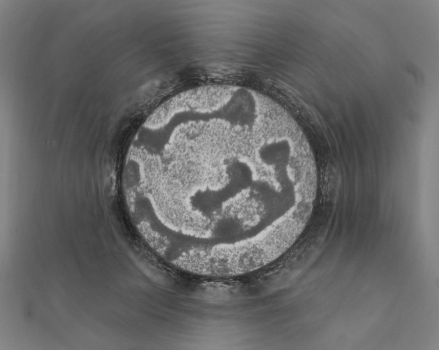 X0000111420703200908101056