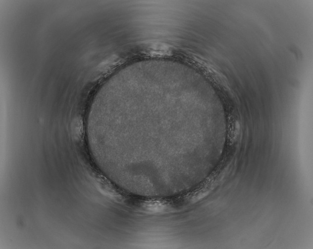 X0000111420704200908101056