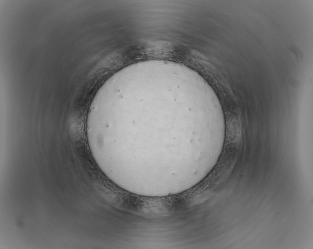 X0000111420705200908101056