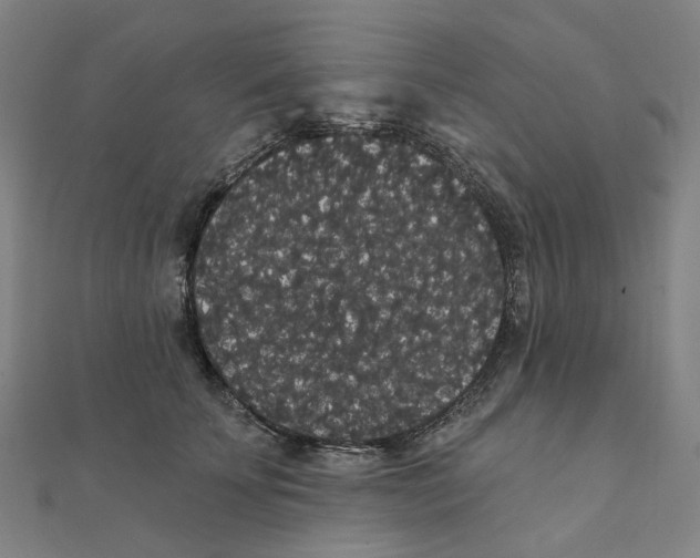 X0000111420707200908101056