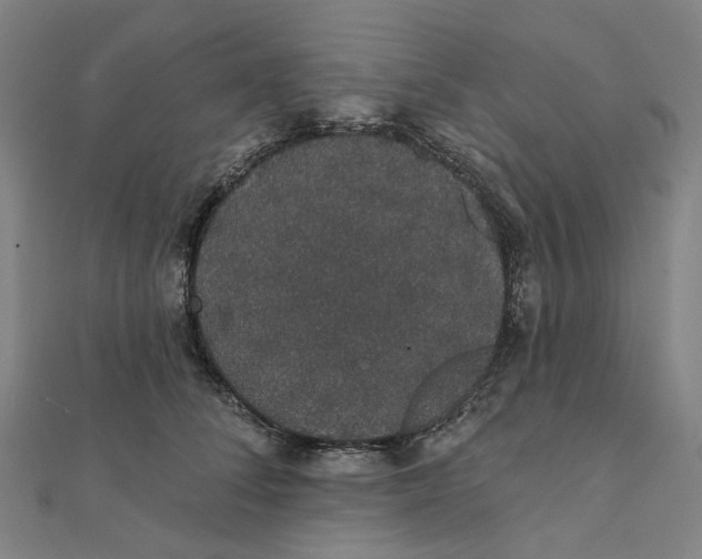 X0000111420708200908101056
