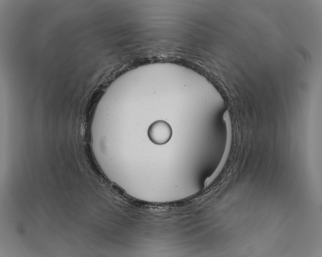 X0000111420709200908101056