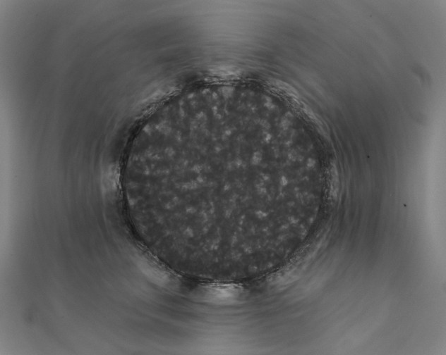 X0000111420711200908101056