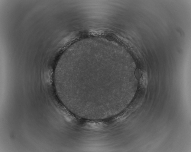X0000111420712200908101056