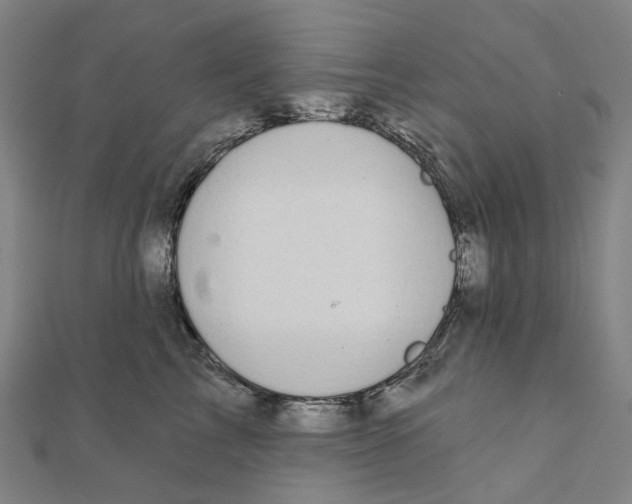 X0000111420713200908101056
