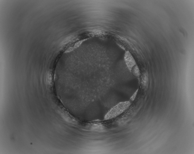 X0000111420715200908101056