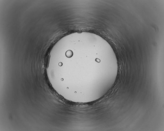 X0000111420716200908101056