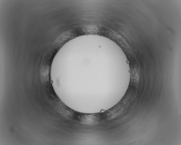 X0000111420717200908101056