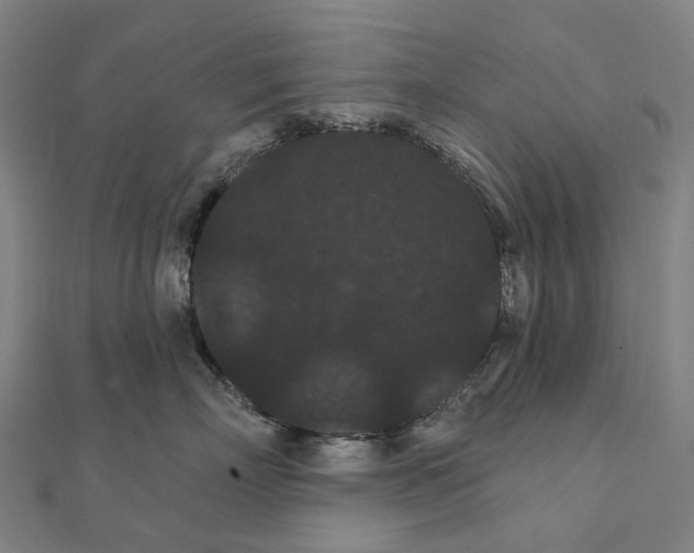 X0000111420718200908101056