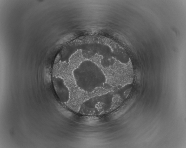 X0000111420719200908101056