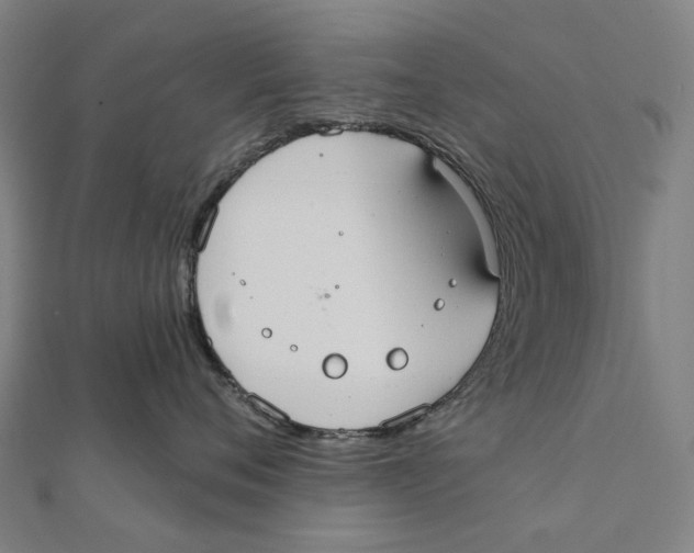 X0000111420720200908101056