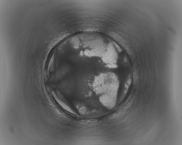 X0000111420721200908101055
