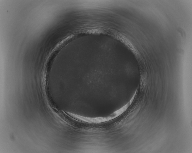 X0000111420722200908101055