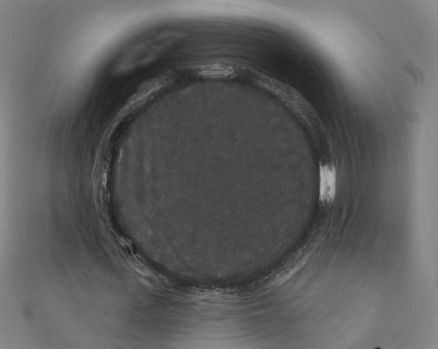 X0000111420723200908101055