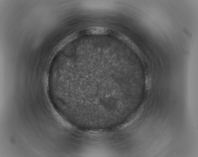 X0000111420725200908101055
