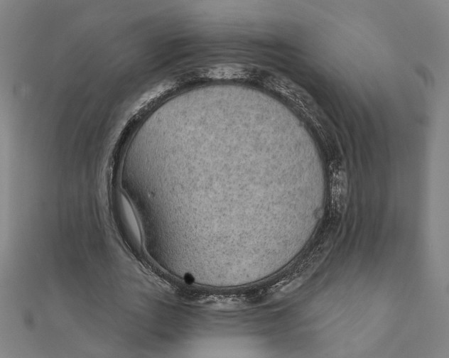 X0000111420727200908101055