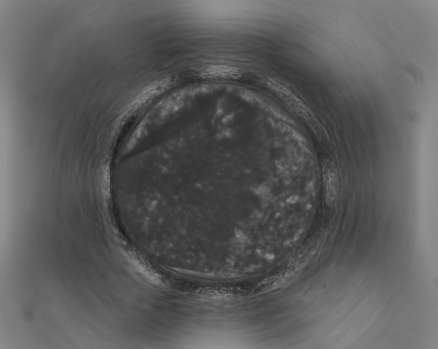 X0000111420729200908101055