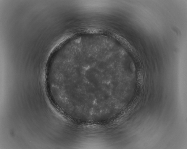 X0000111420730200908101055