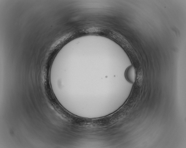 X0000111420732200908101055