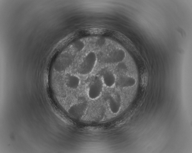 X0000111420733200908101055
