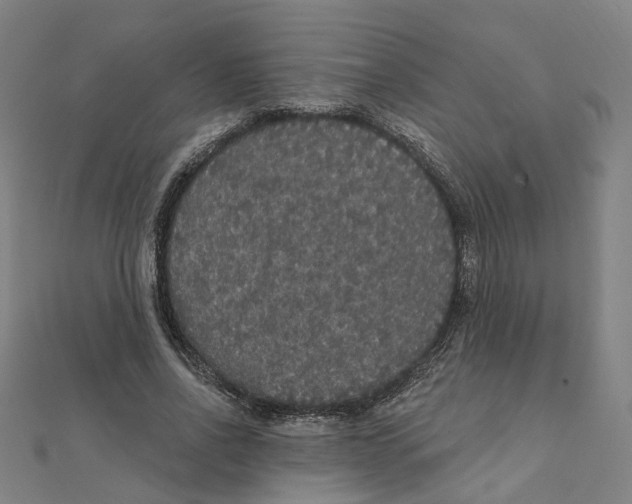 X0000111420734200908101055