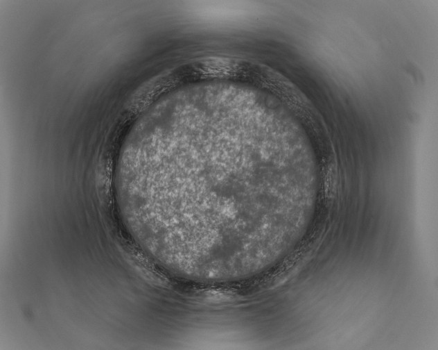 X0000111420737200908101055