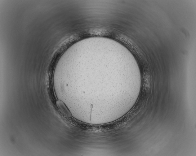 X0000111420738200908101055