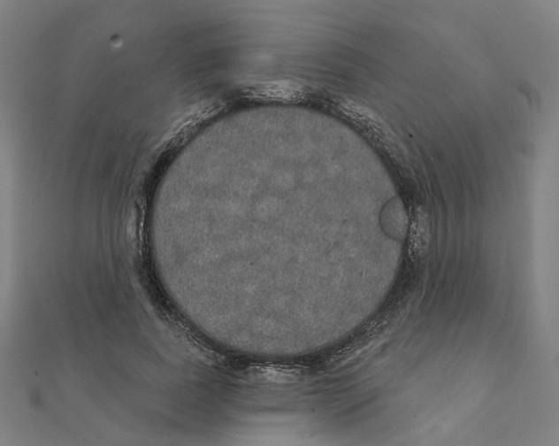 X0000111420739200908101055