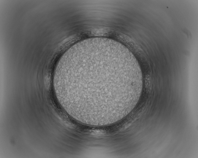 X0000111420741200908101055