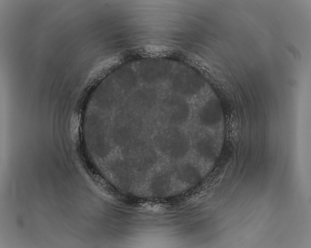 X0000111420742200908101055