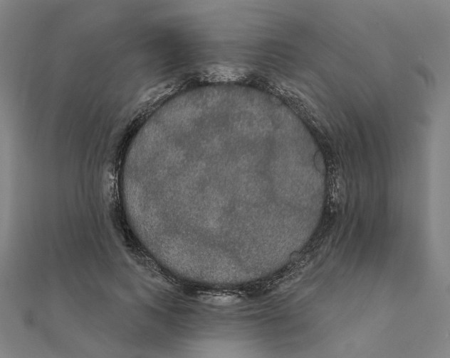 X0000111420743200908101055