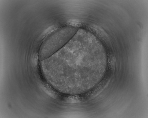 X0000111420744200908101055