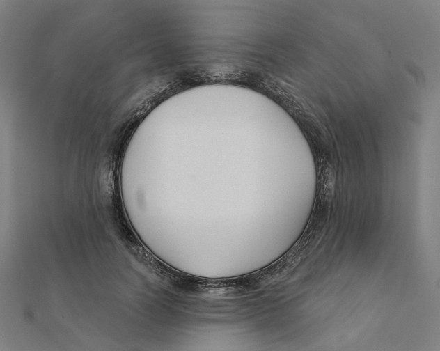 X0000111420746200908101055