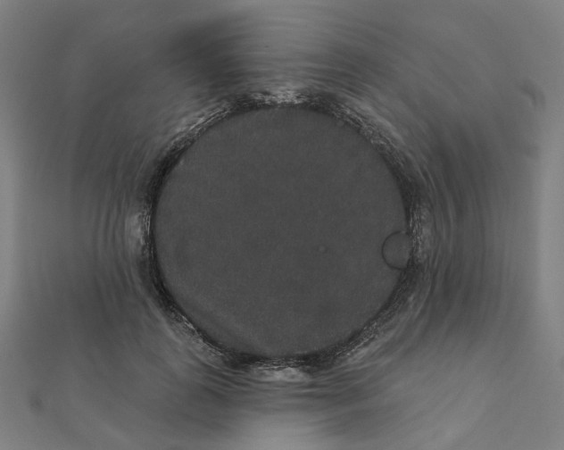 X0000111420747200908101055