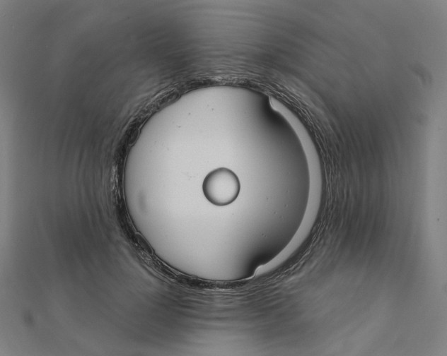 X0000111420748200908101055