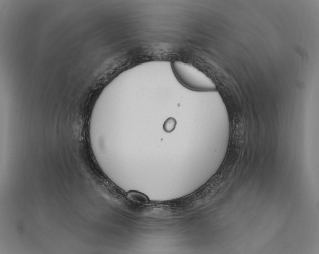 X0000111420750200908101055