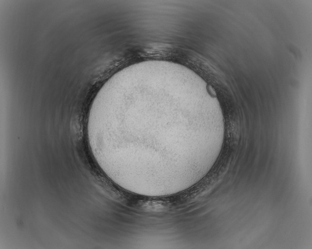 X0000111420751200908101055